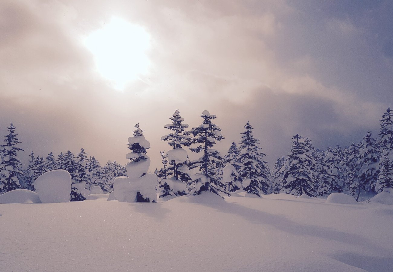 Ski & Hiver